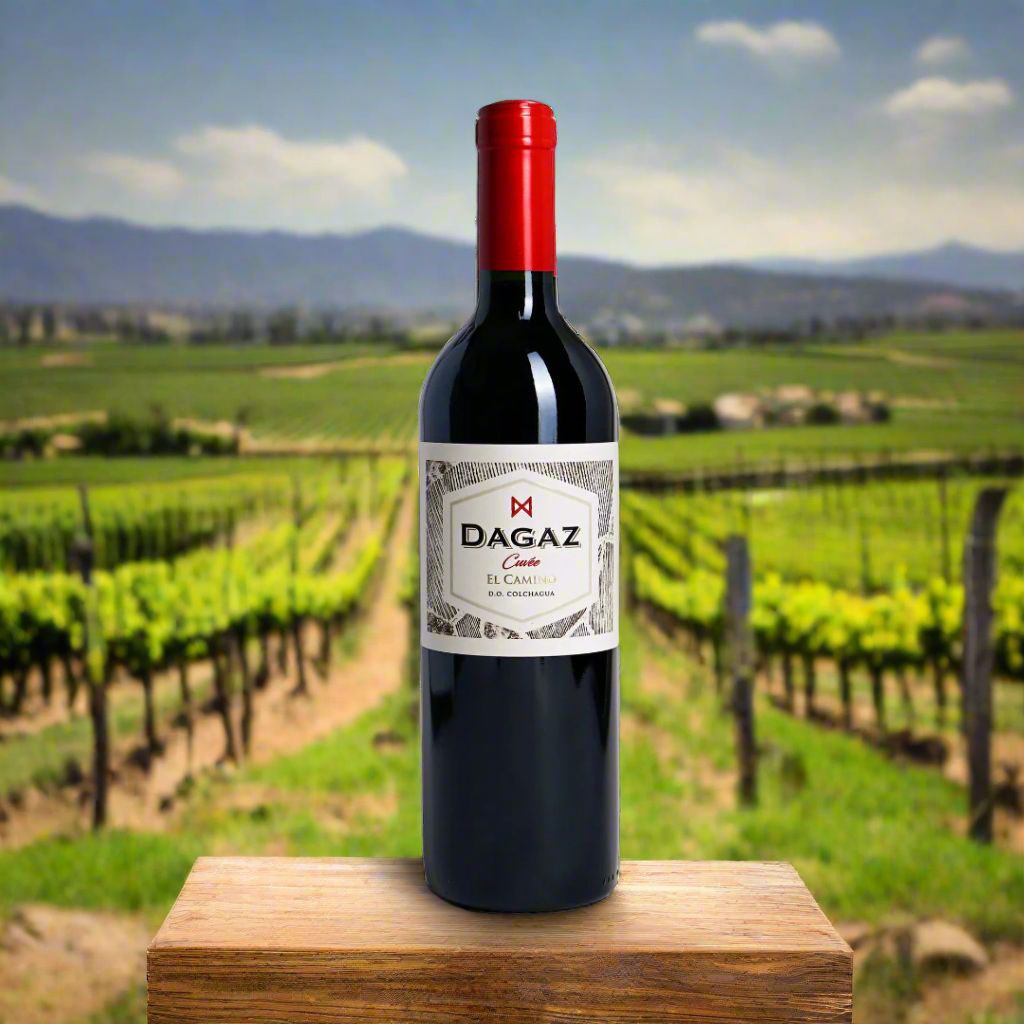 Dagaz, Cuvée El Camino, Colchagua Valley, Chile Wine Bottle Condor Wines