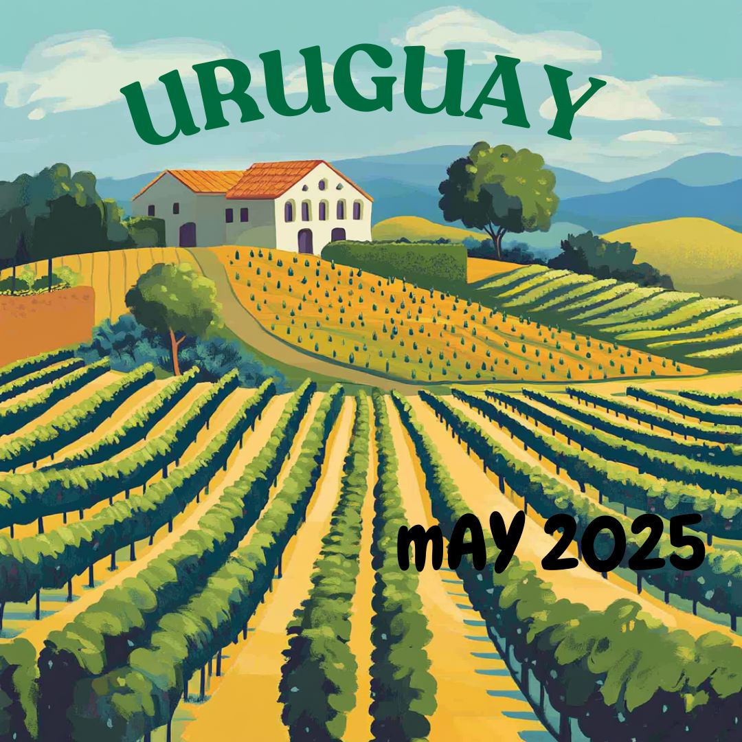 Wine of Uruguay Tasting Pack - LIVE May 2025 then ON DEMAND Tasting pack The Online Wine Tasting Club