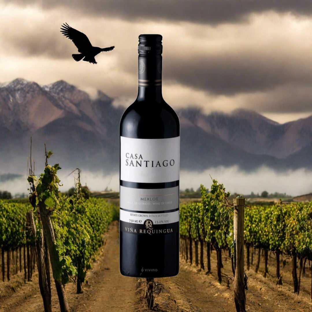 Casa Santiago, Merlot, 2021 Wine Bottle Condor Wines