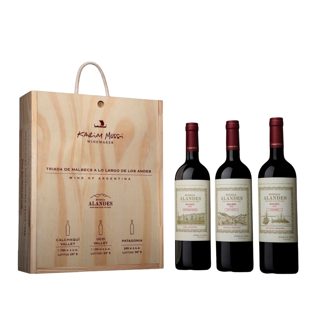 Alandes Malbec Triad Explorer Pack Wine Bottle Condor 