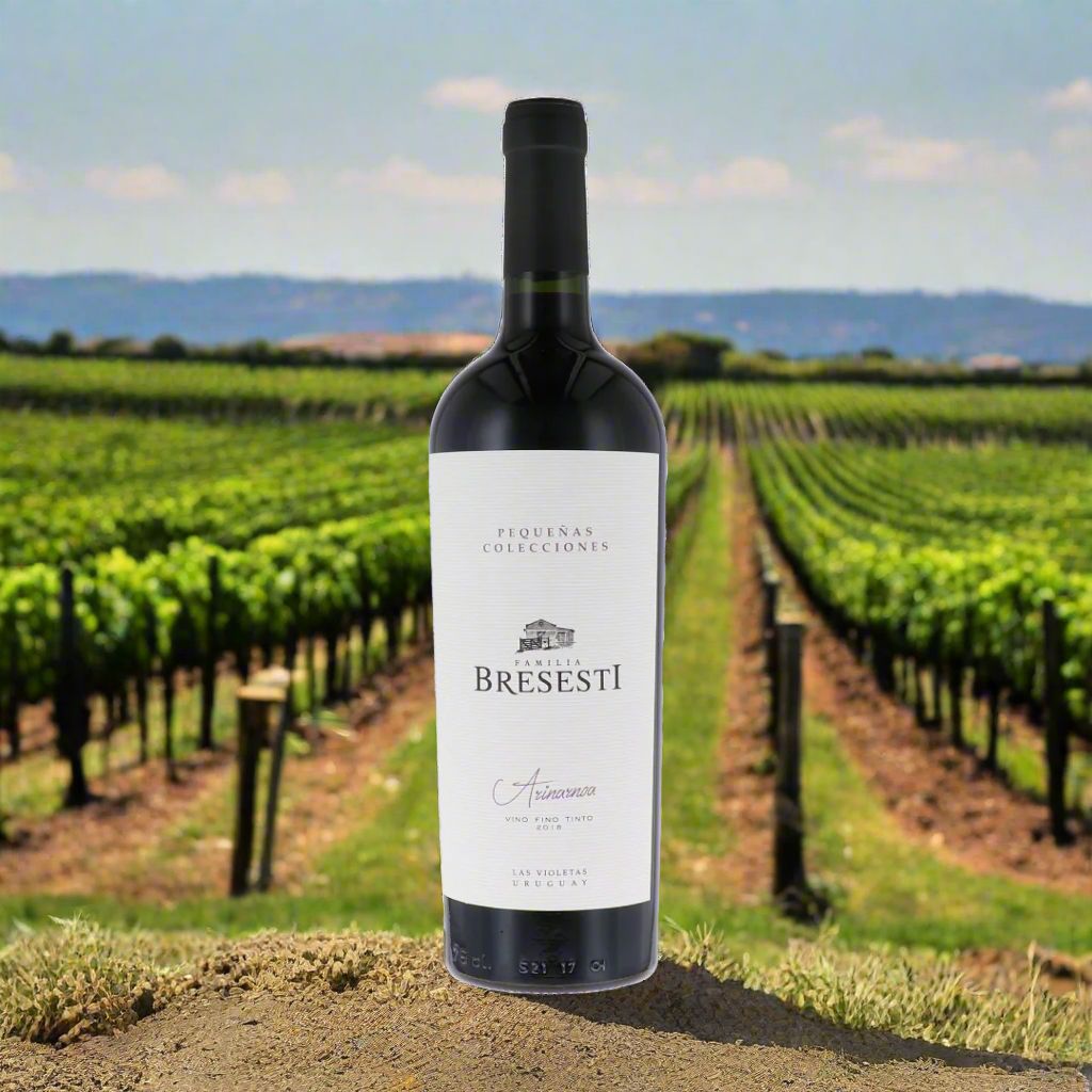 Bresesti, 'Pequenas Colecciones,' Arinarnoa Wine Bottle Condor Wines 