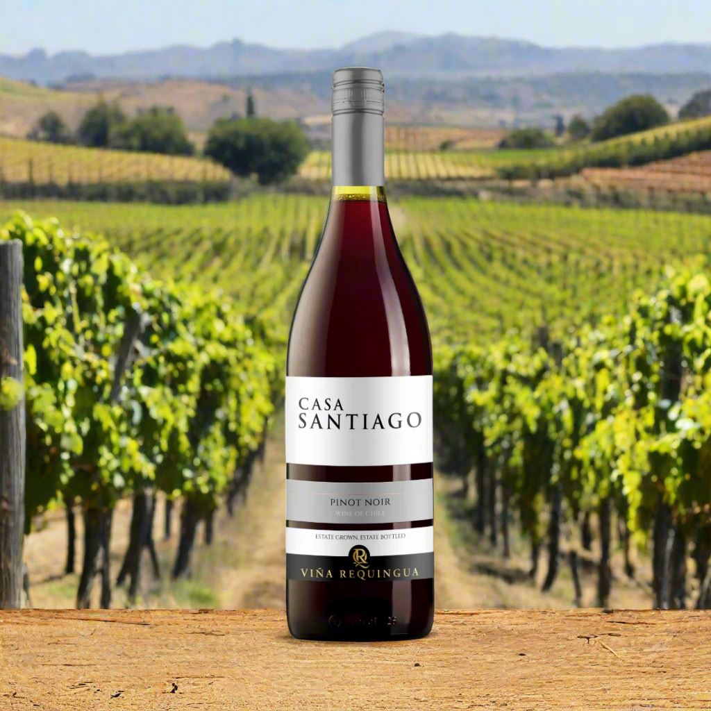 Casa Santiago, Pinot Noir, Chile Wine Bottle Condor Wines 