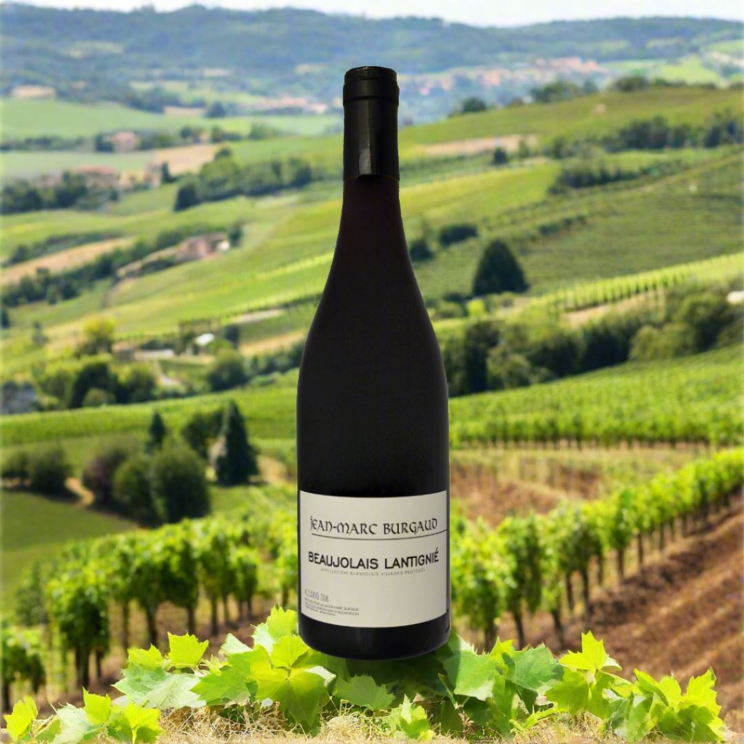 Jean-Marc Burgaud, 'Lantignie,' Gamay, Beaujolais The Online Wine Tasting Club 