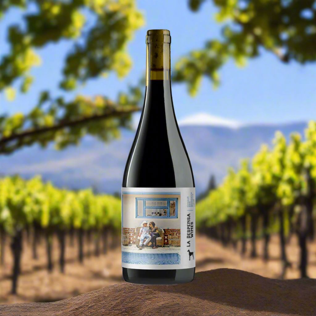 La Despensa Boutique Cinsault Blend, Chile Wine Bottle Condor Wines 