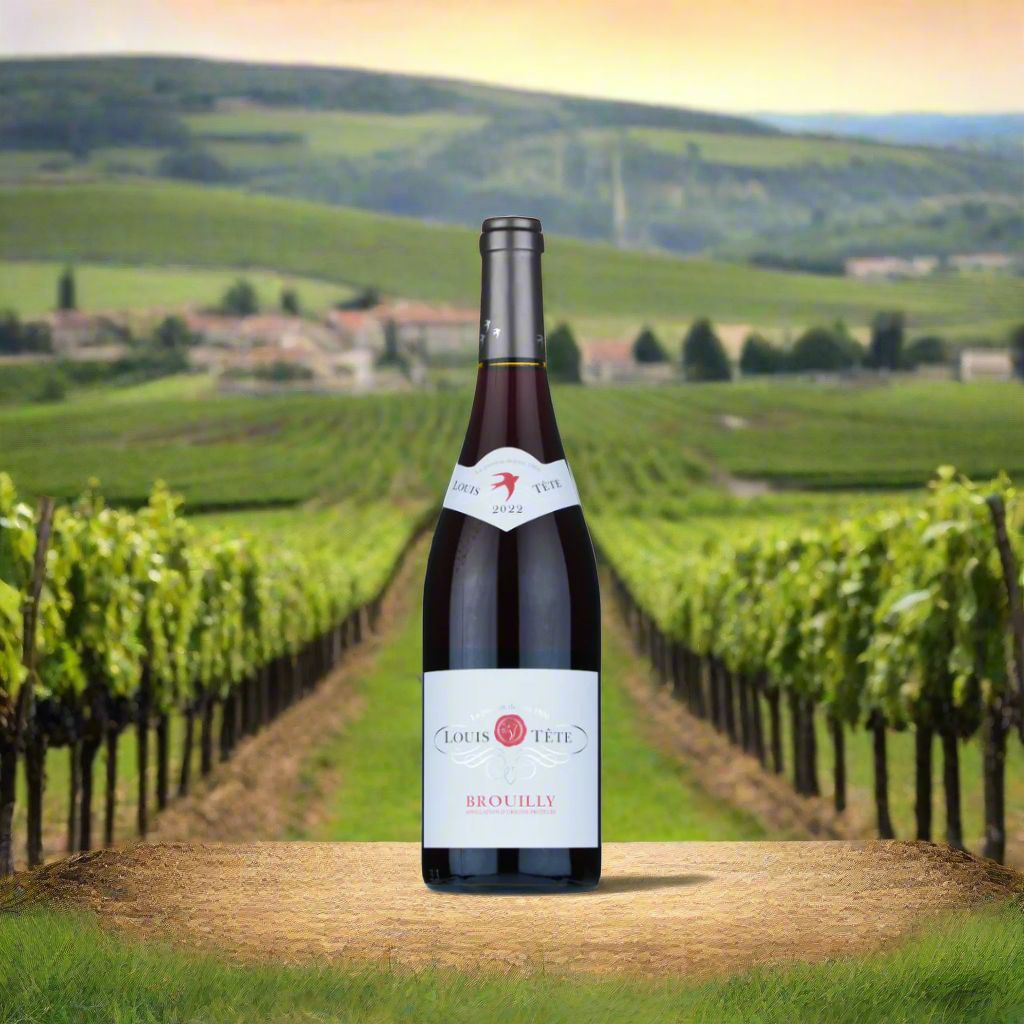 Louis Tete, Brouilly, Beaujolais Wine Bottle Enotria 