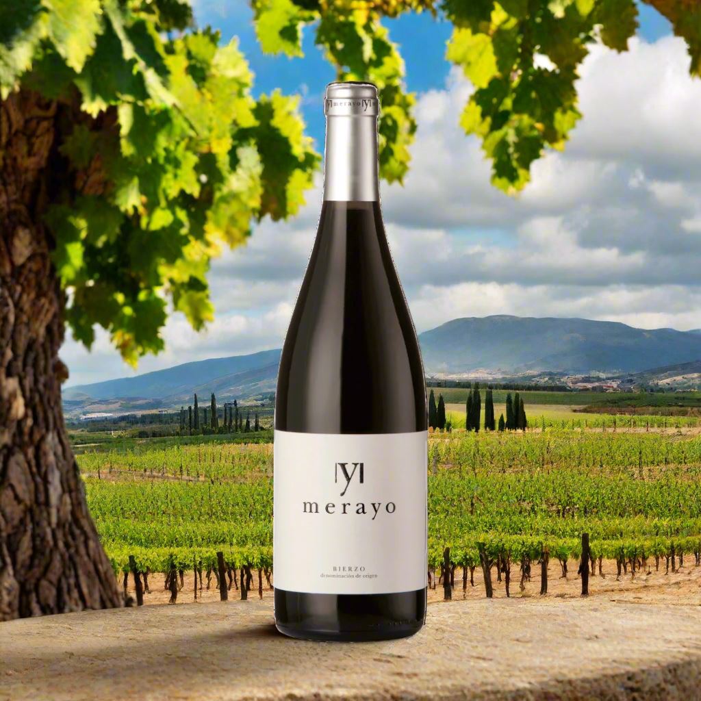 Merayo, Mencia, Bierzo Wine Bottle Alliance Wines 