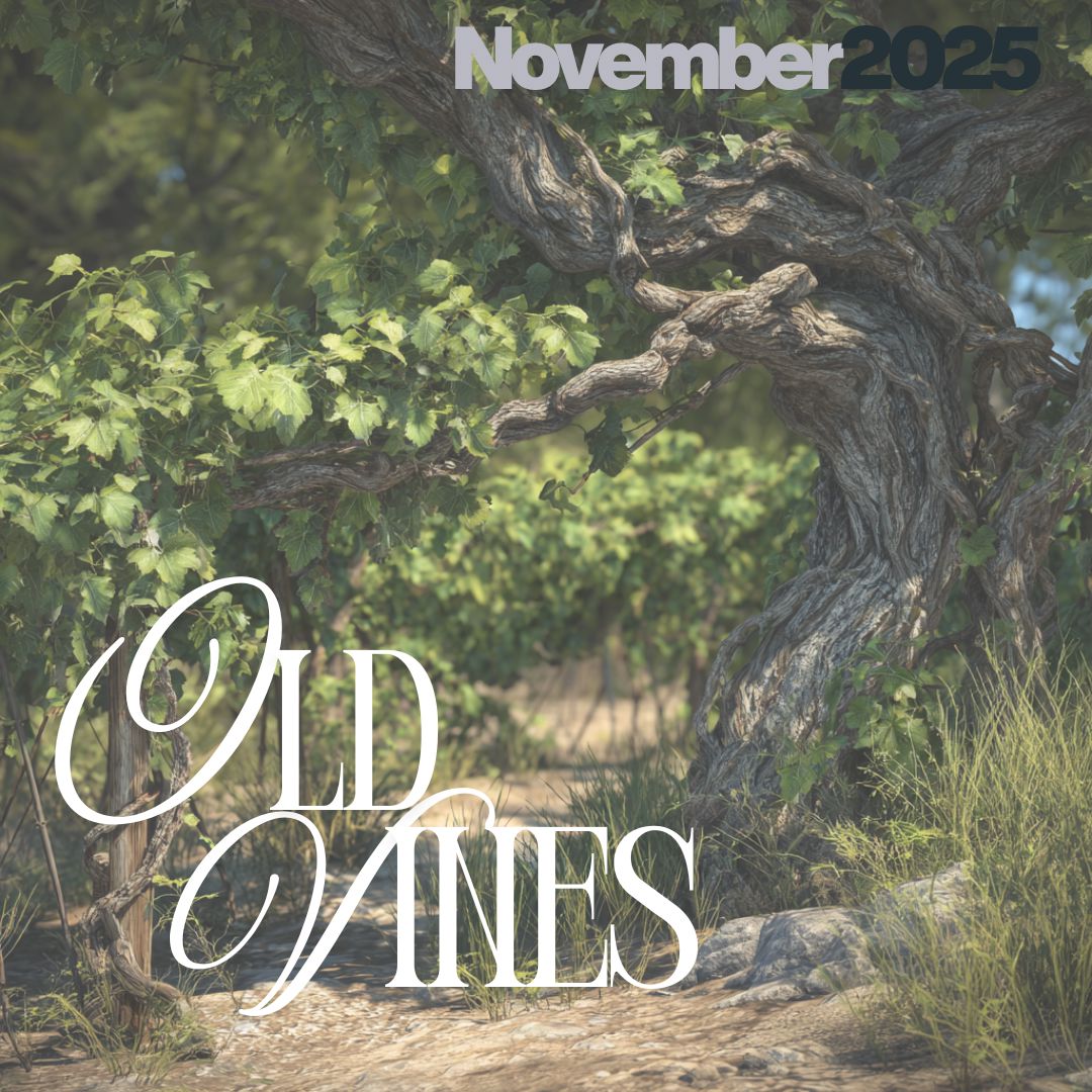 Old Vines Tasting Pack - LIVE TBC November 2025 then ON DEMAND Tasting pack The Online Wine Tasting Club 