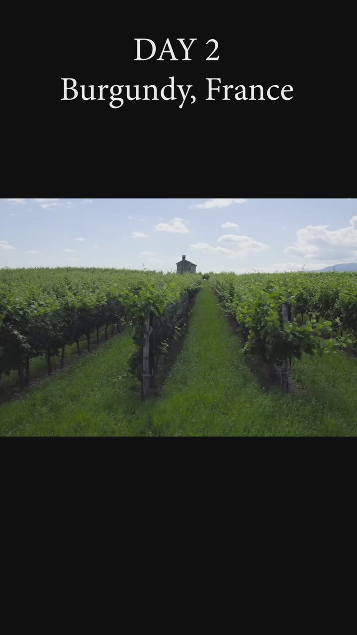 Les Hauts de Mily, Chardonnay, Burgundy