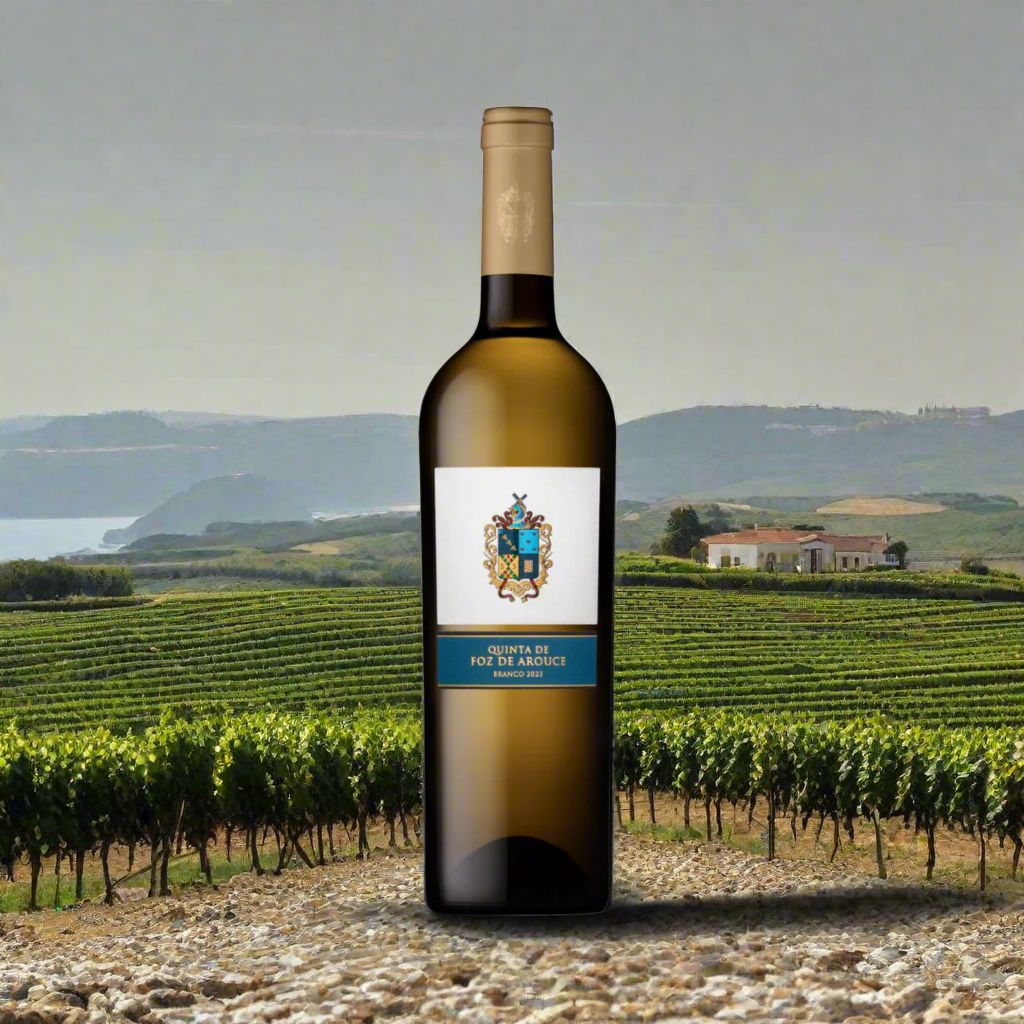 Quinta de Foz de Arouce Wine Bottle Wickham Wines 