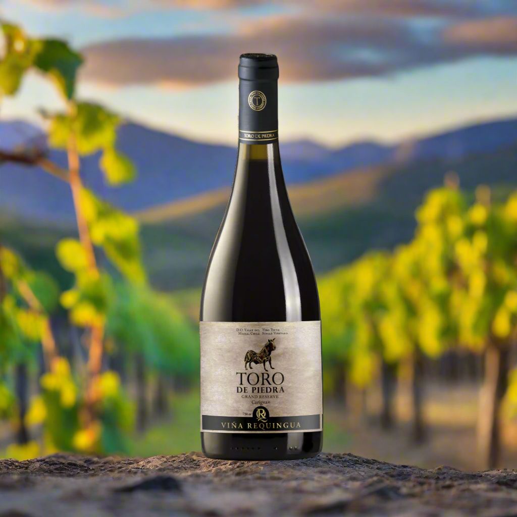 Toro de Piedra, Gran Reserve, Carignan Wine Bottle Condor Wines 