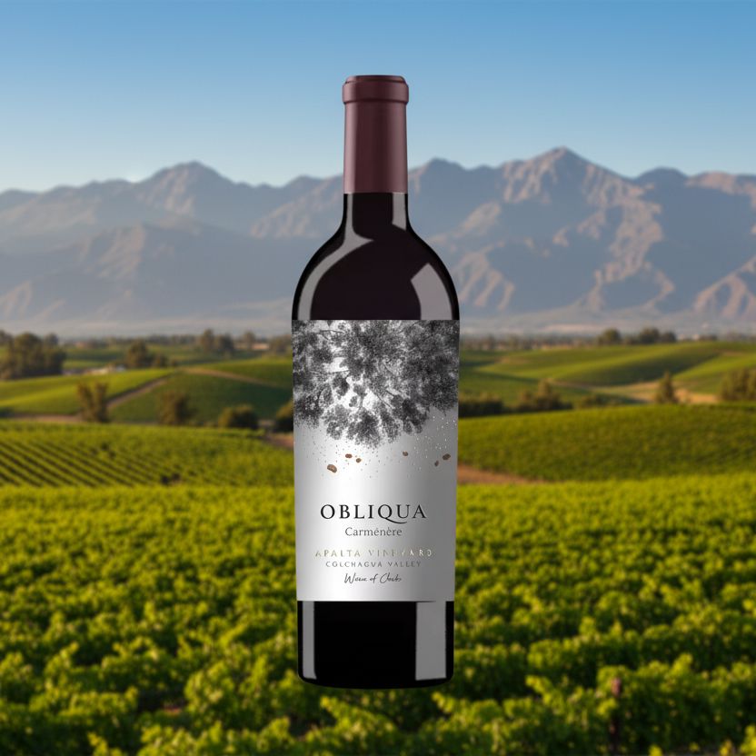 Ventisquero, 'Obliqua,' Carmenere Wine Bottle North South Wines 