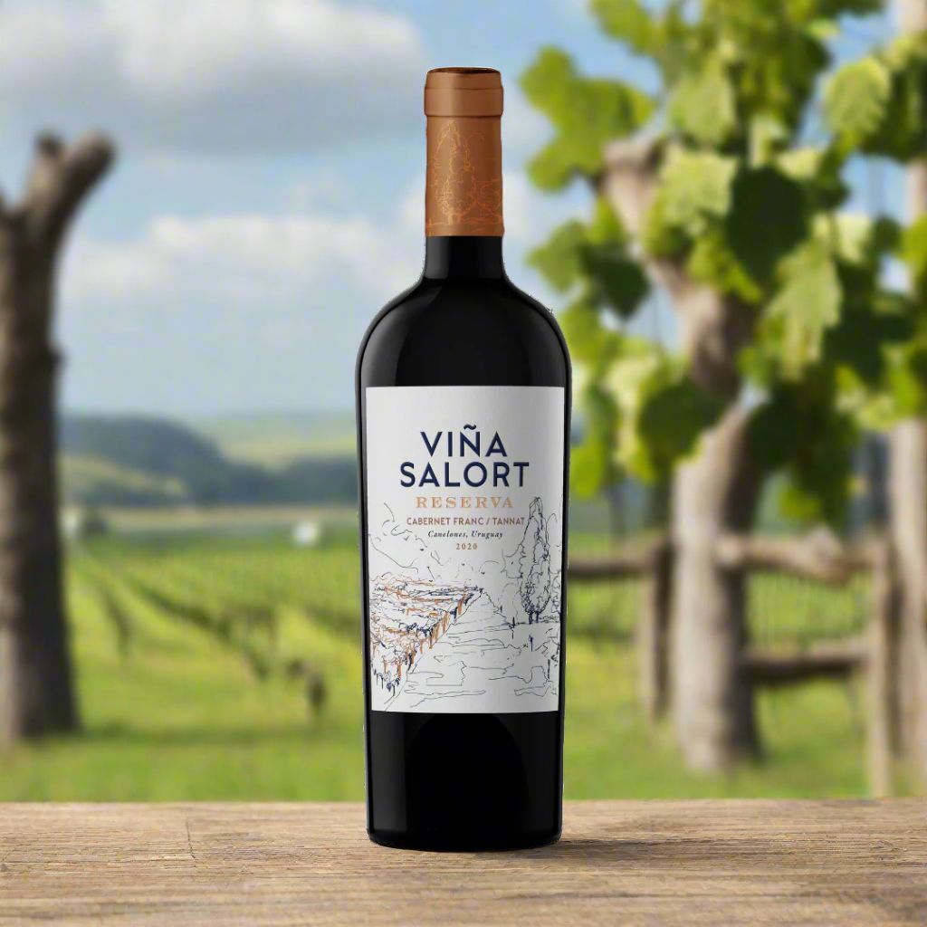 Vina Salort, 'Reserva' Cabernet Franc / Tannat Wine Bottle Condor Wines 
