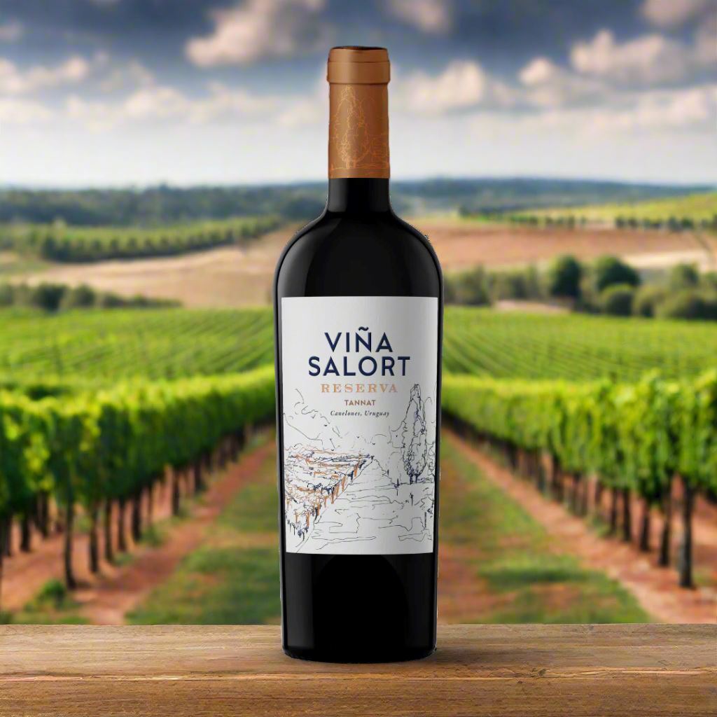 Vina Salort, Tannat, Reserva Wine Bottle Condor Wines 