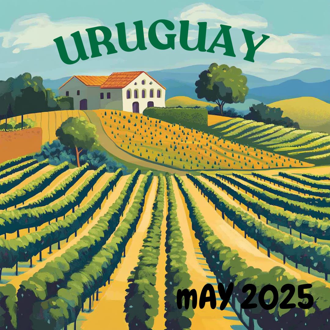 Wines of Uruguay - May 2025 - Full Bottle Case Wine Case The Online Wine Tasting Club 