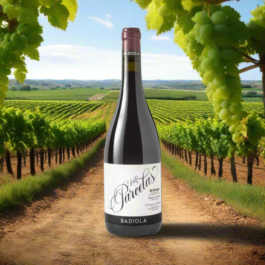 Badiola 'las parcelas' Rioja The Online Wine Tasting Club 